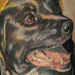 Tattoos - Dodger  - 42116
